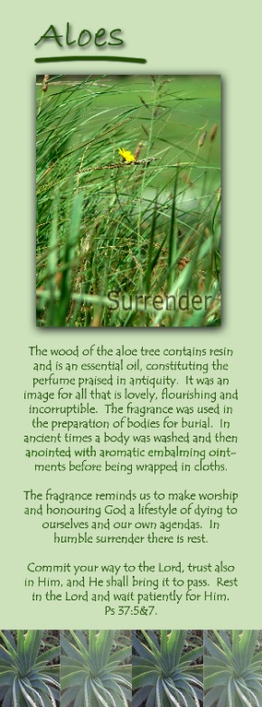aloes_beskrywing