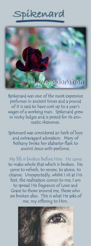 spikenard_beskrywing